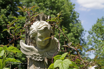 Obraz premium Engelkopf als Gartendekoration