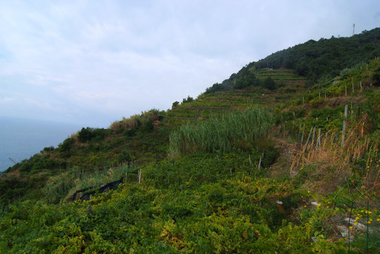 paesaggio di campagna