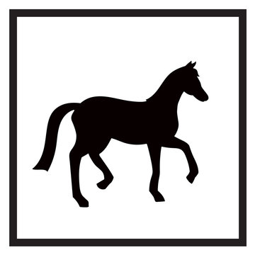 Vector black and white label for horse club or riding club with horse silhouette isolated on the white background