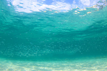 Underwater Ocean Background Photo