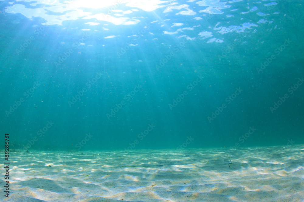 Wall mural Underwater Ocean Background Photo