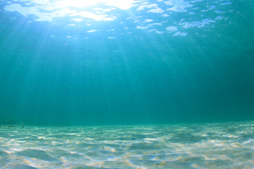 Fototapeta na wymiar Underwater Ocean Background Photo