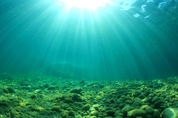 Fototapeta na wymiar Underwater Ocean Background Photo