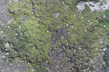 cement von