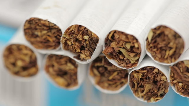 Tobacco in Cigarettes