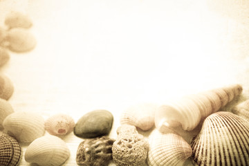 shells with sand in vintage color style
