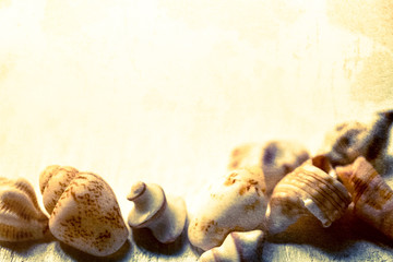 shells with sand in vintage color style
