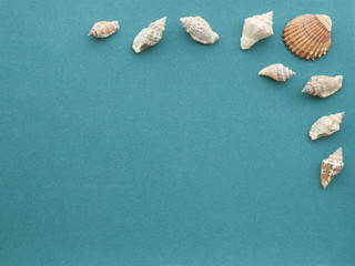 Sea shells on a rough green paper background. Photo frame template.