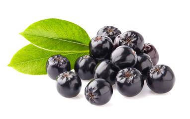 Chokeberry with leaves
