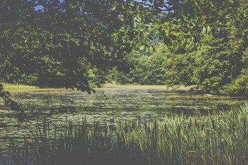 River Black Hancza in Turtul. Poland
