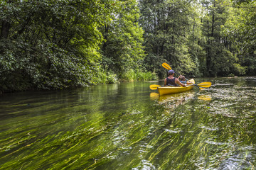 Kayaking on the Rospuda river, Poland