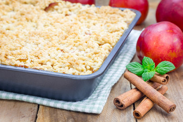 Homemade plum crumble pie in baking dish
