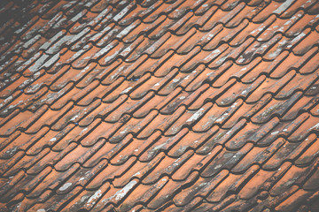 Close-up of roof tiles