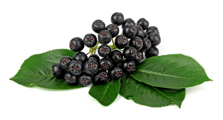 aronia (chokeberry)..