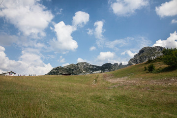 Fototapeta premium In vetta