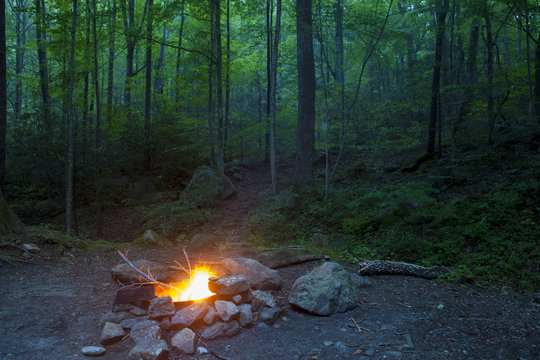 abandoned campfire in dark woods after sunset