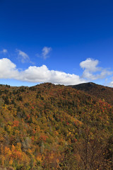 NC Devil's Courthouse Mountains in the Fall