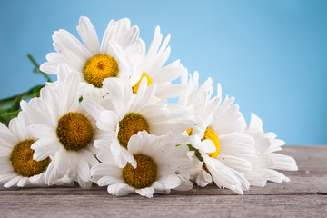 Obraz premium Leucanthemum vulgare on a wooden table