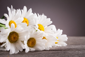 Obraz premium Leucanthemum vulgare on a wooden table