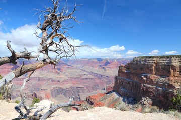 Grand Canyon Mohave Point