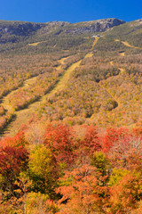 Ski trails during fall foliage.