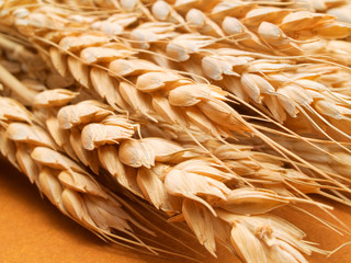 Wheat