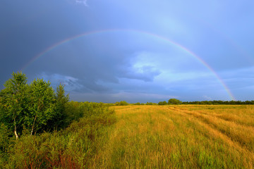 Rainbow in a field on a background of a stormy sky