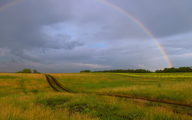 road going into the field on the background of a stormy sky with a rainbow