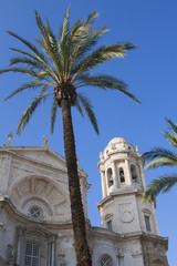 Fototapeta na wymiar Catedral de Cádiz con palmera decorativa.