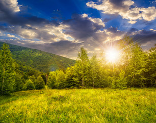 meadow near the forest in mountains at sunset