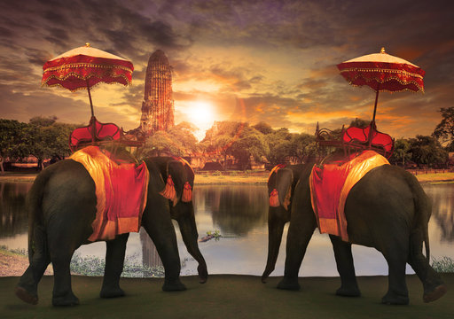 elephant dressing with thai kingdom tradition accessories standi