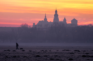 Wawel castle in Krakow seen from the Blonia meadow in the morning