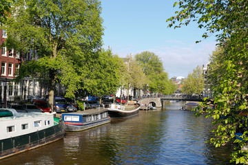 Fototapeta na wymiar Amsterdam201505-0182