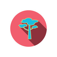 Pine tree icon. Forest wood sign.