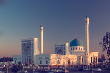 Fototapeta na wymiar Mosque at sunset