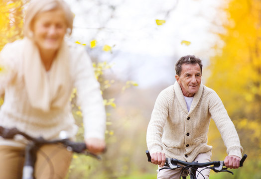Active seniors riding bikes