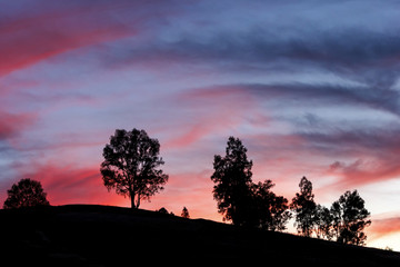 Fototapeta premium Puesta de sol. Atardecer en la alameda. Colores en el cielo. Tardes de verano. Siluetas en el crepúsculo.