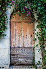 Fototapeta na wymiar völlig verwachsene Fenster und Türen in der Provence