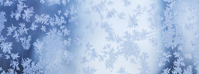 Winter iced background
