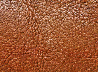 Brown textured leather background