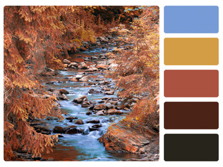 colour palette swatch