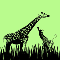 Cute image seamless pastel pattern with giraffe