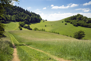 Fototapeta na wymiar Naturschutzgebiet Badberg und Haselschacher Buck, Kaiserstuhl