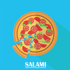 Salami pizza vector illustration.