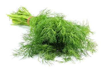 frischer Dill isoliert auf weißem Hintergrund