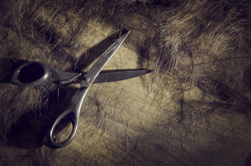 Close up of scissors and cuts of hair