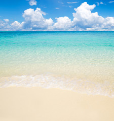 sea landscape