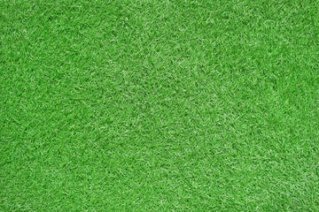 Green grass as background