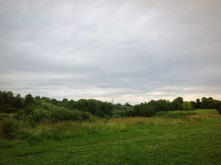 цветы на лугу и церковь вдали