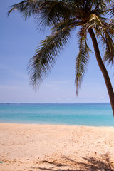 Fototapeta na wymiar View of nice tropical beach.